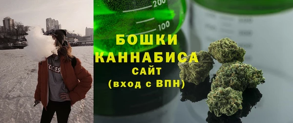 винт Верея