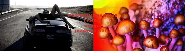 марки lsd Верхний Тагил