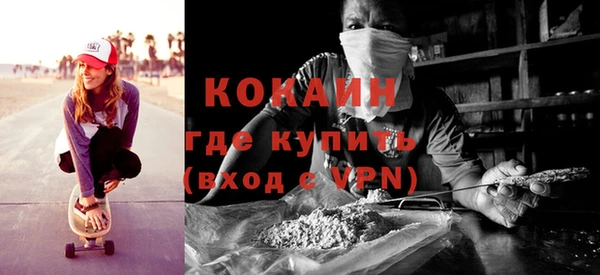 винт Верея