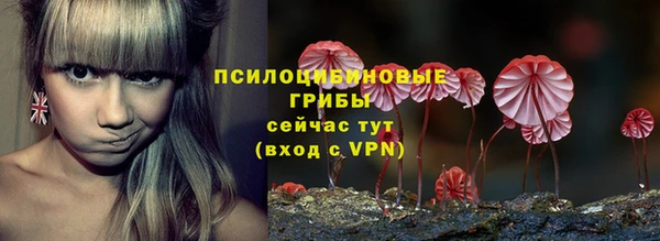 винт Верея