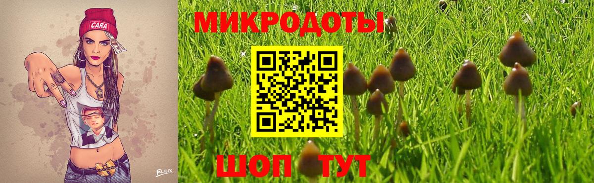 Галлюциногенные грибы Psilocybe  Галлюциногенные грибы Magic Shrooms  Выборг  Вход с VPN 